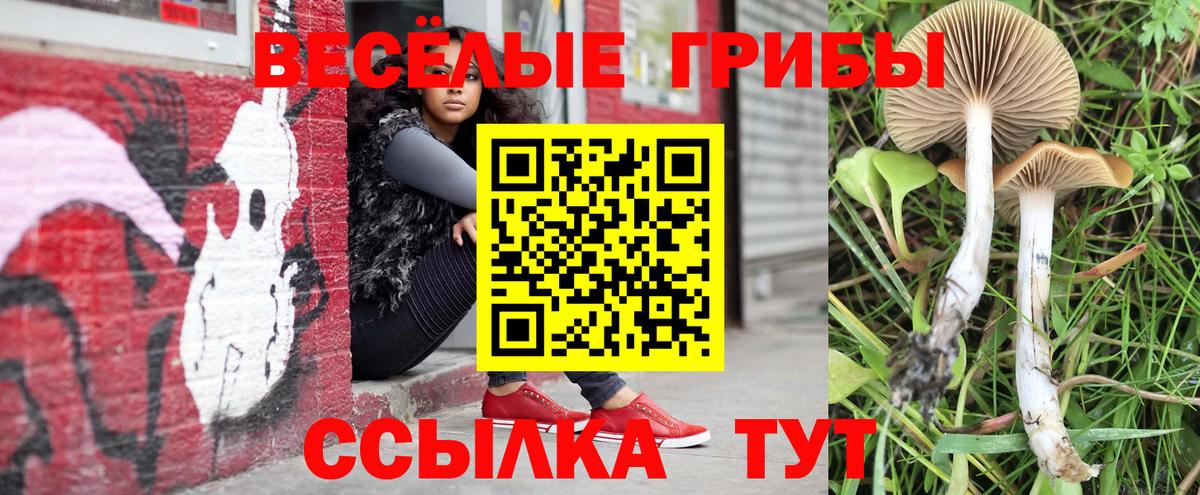Псилоцибиновые грибы Cubensis Кохма