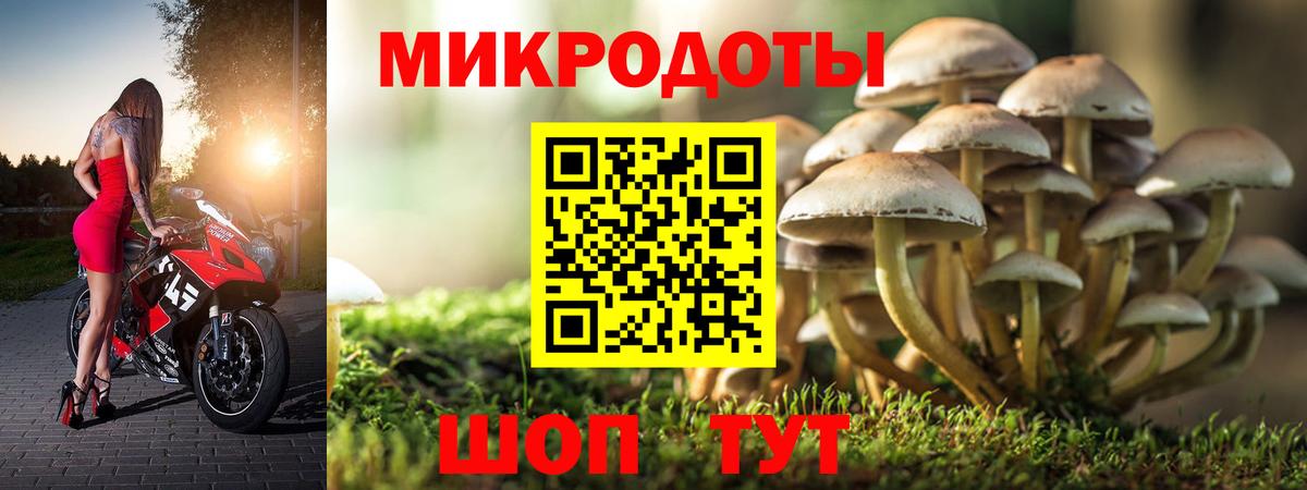 Кохма  Галлюциногенные грибы Psilocybine cubensis  Вход с VPN 